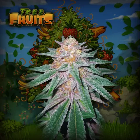Tree Fruits 2