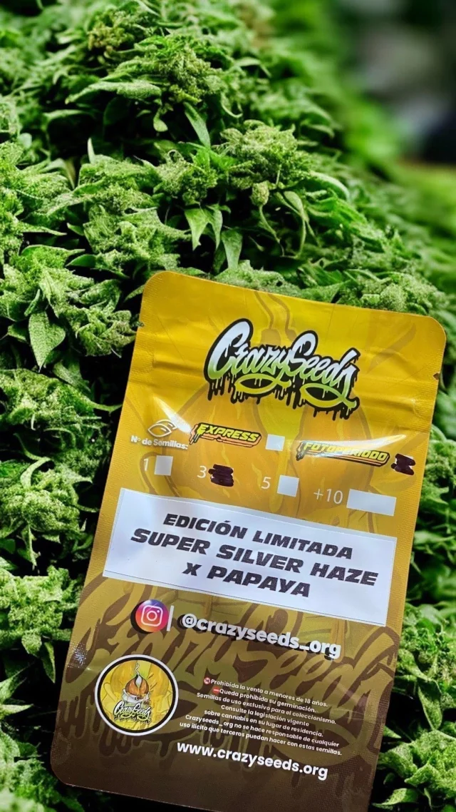 Super Silver Haze