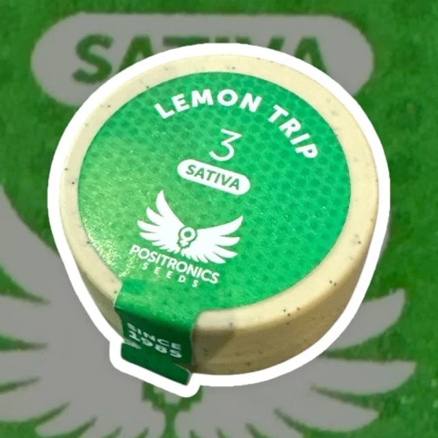 Lemon Trip