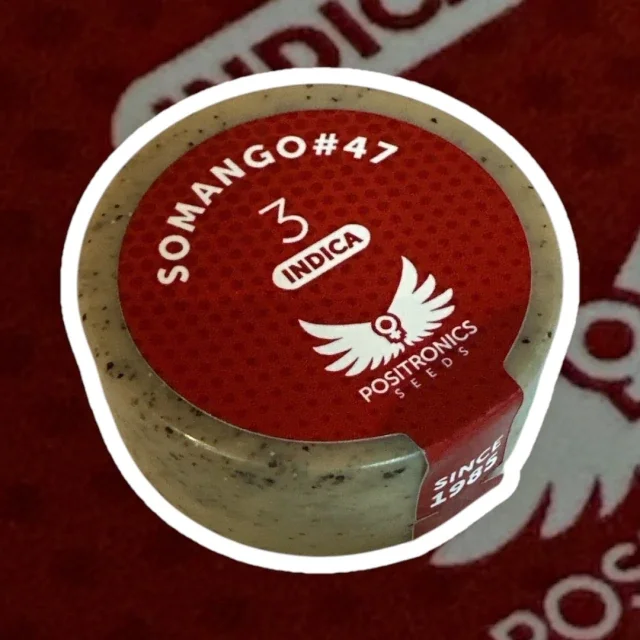 Somango 47