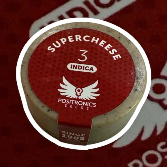 Supercheese