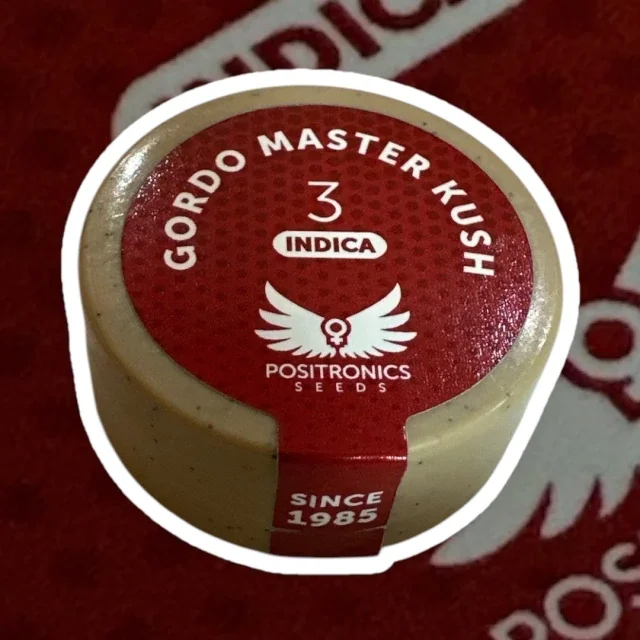 Gordo Master Kush