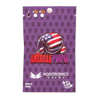 American Purple