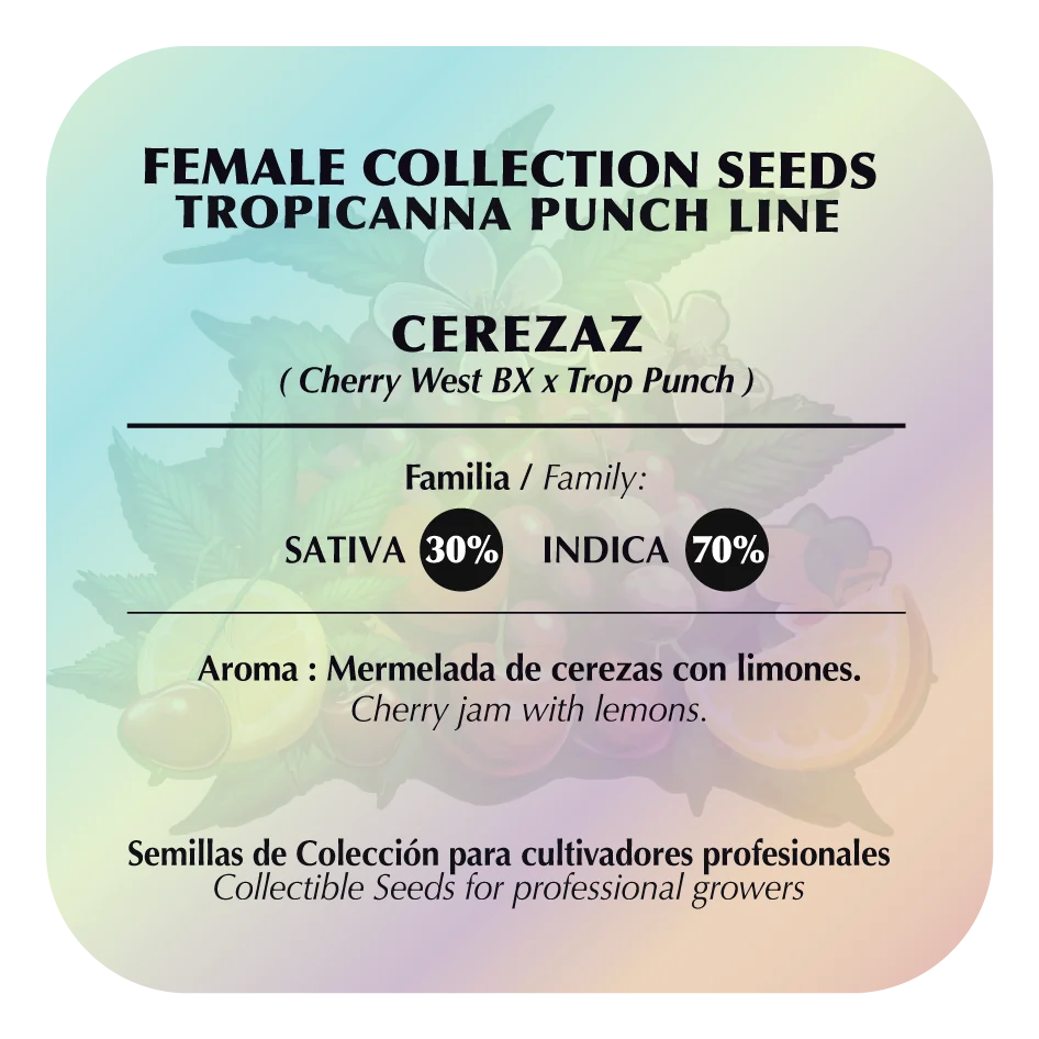 Cerezaz 2