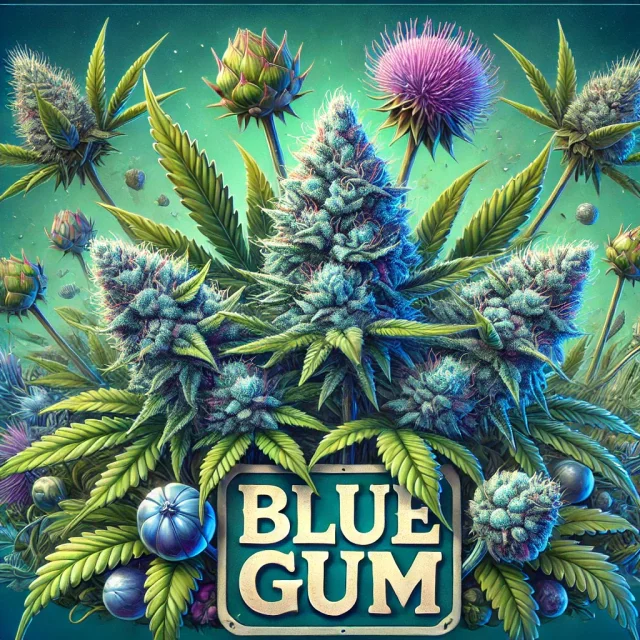 Blue Gem