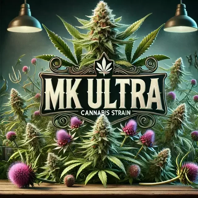 Mk Ultra
