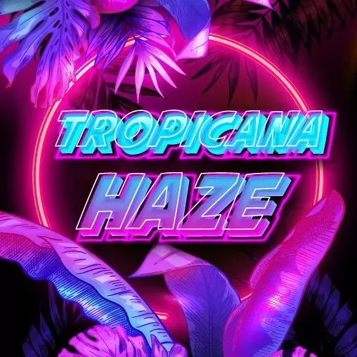 Tropicanna Haze