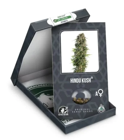 Hindu Kush 4