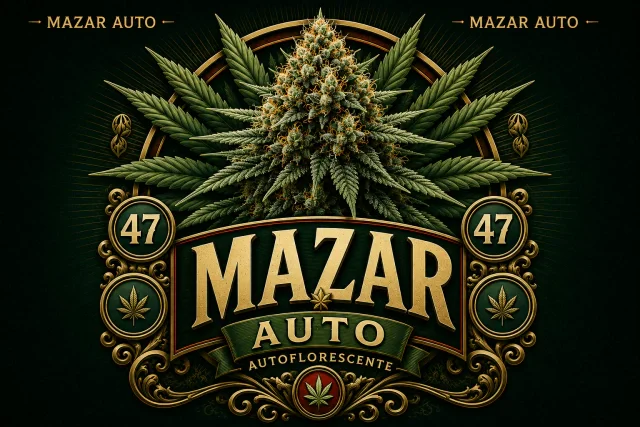 Mazar
