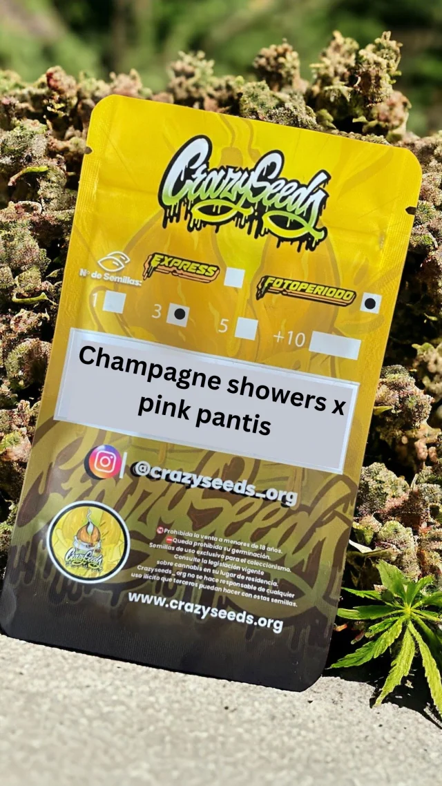 Champagne Shower X Pink Pantis
