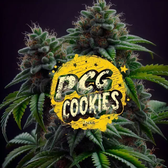 Pcg Cookies