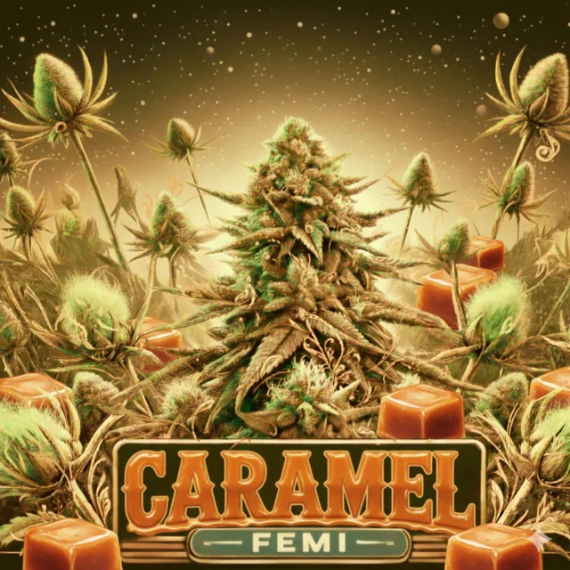 Caramelo